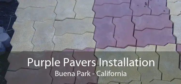 Purple Pavers Installation Buena Park - California